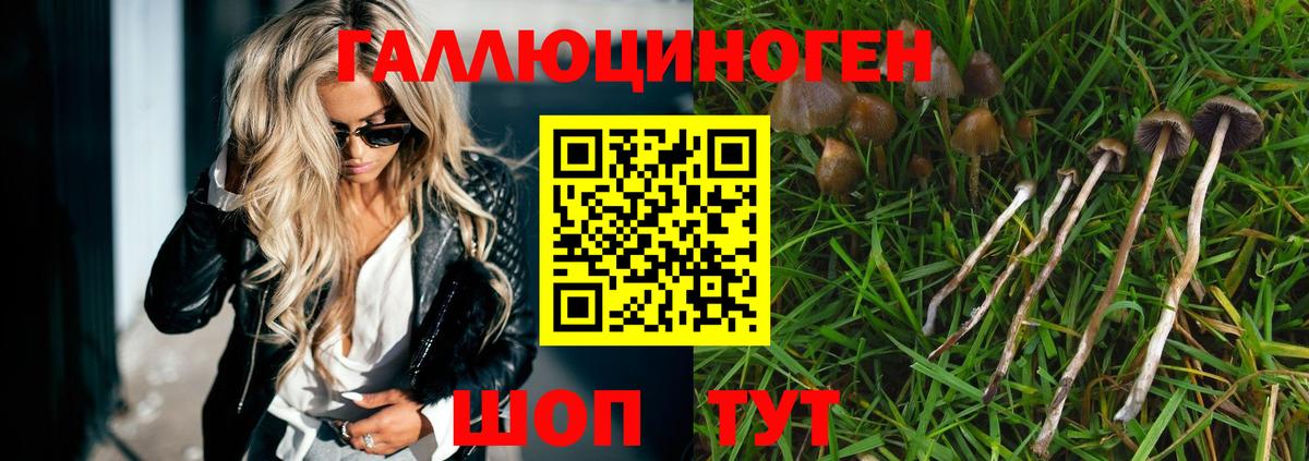 Галлюциногенные грибы Magic Shrooms Егорьевск