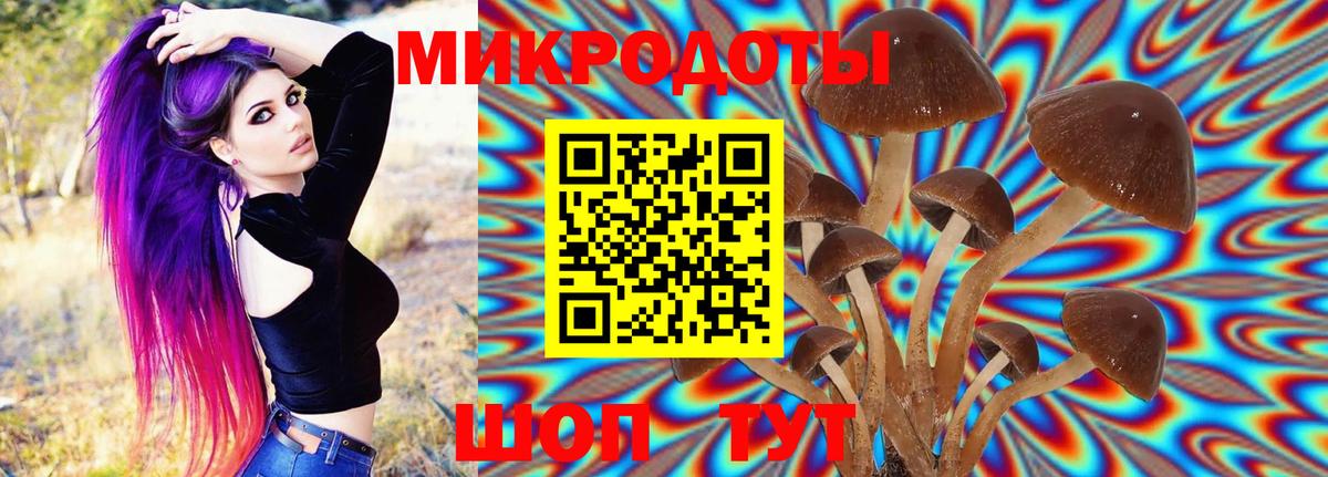 Егорьевск  Галлюциногенные грибы мухоморы  где найти   Вход с VPN 